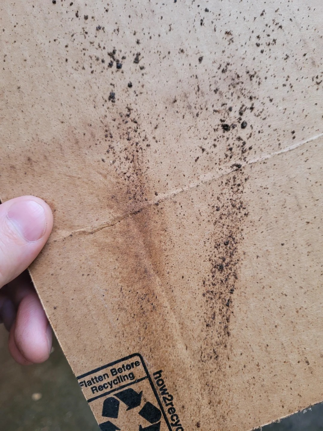 Stihl MS 250 Bar Not Getting Oil — Step-by-Step Diagnosis From Reddit