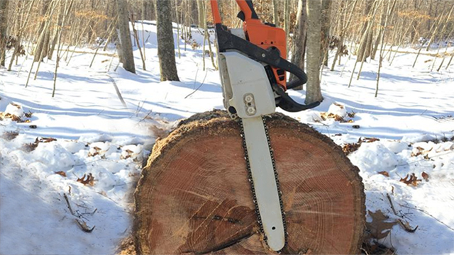 Revitalize Your Chainsaw with Our Premium 20" Replacement Chain for Stihl 33RS-72 – Limited Time Discount Available!