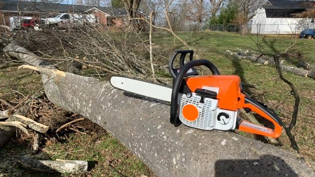 12" STIHL 71PM3-64 Chain