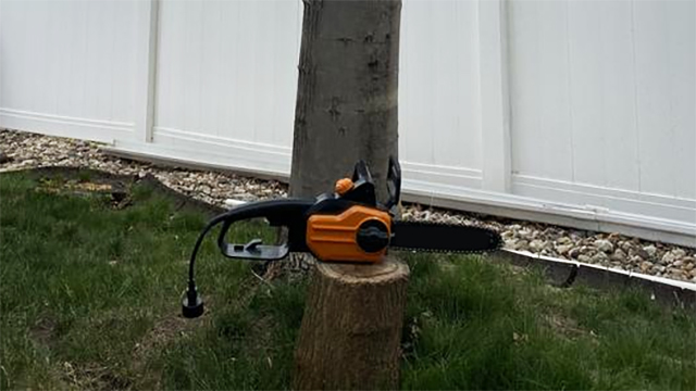 Opuladuo 10-Inch Pole Saw Chain – Revitalize Your Worx WG309