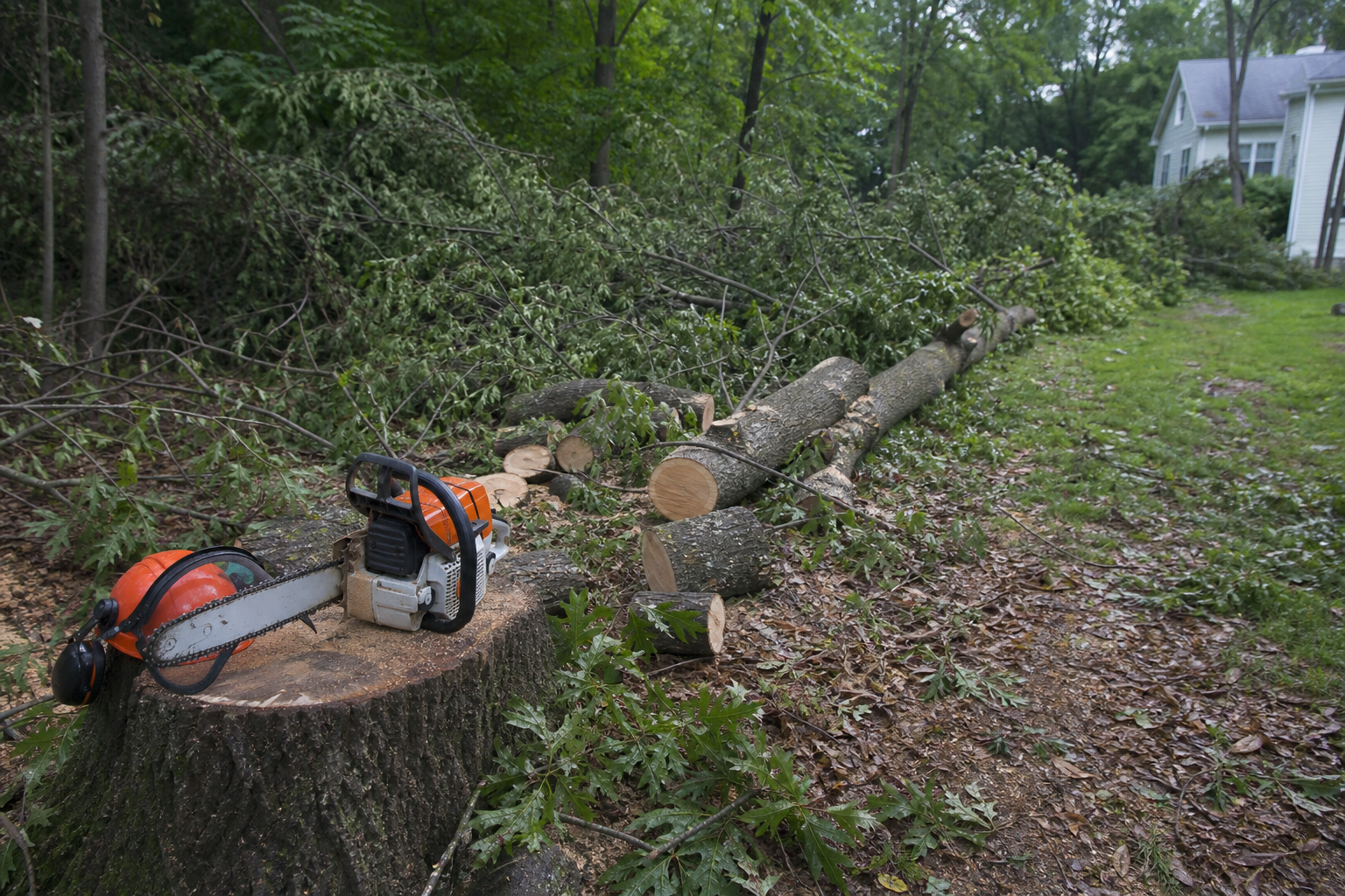 Storm Cleanup Chainsaw Checklist — What to Inspect Before Cutting Downed Trees